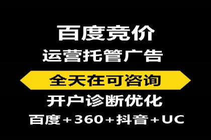 某企业通过百度SEM实现ROI最大化的案例